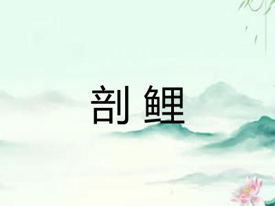 剖鲤