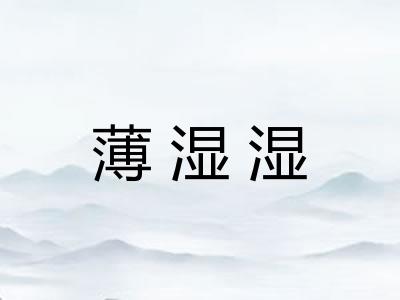 薄湿湿