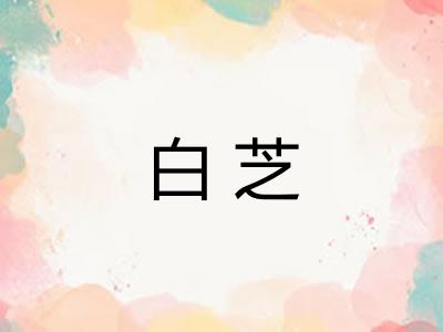 白芝