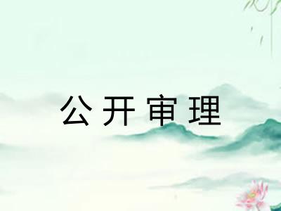 公开审理