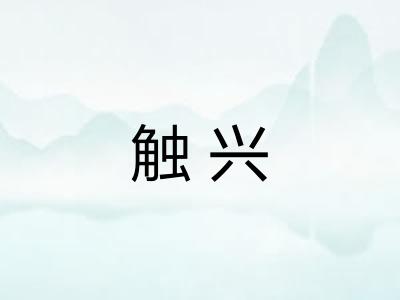 触兴