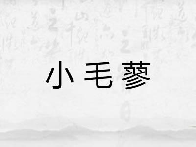 小毛蓼