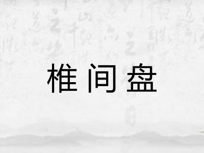 椎间盘