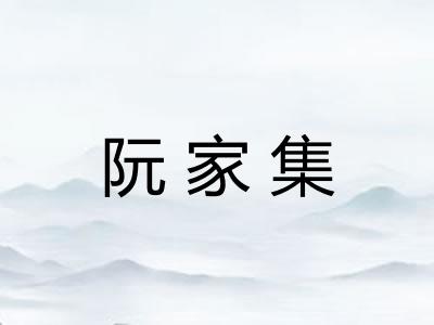阮家集