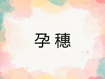 孕穗