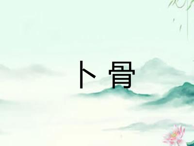 卜骨