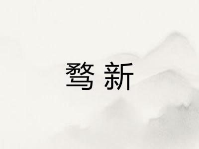 骛新