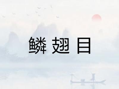 鳞翅目