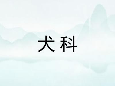 犬科