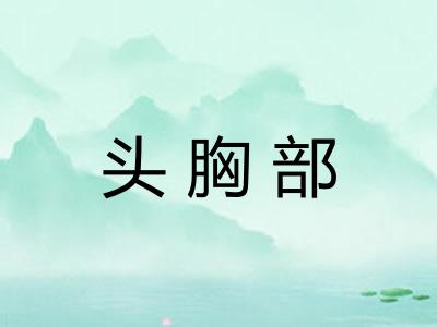 头胸部