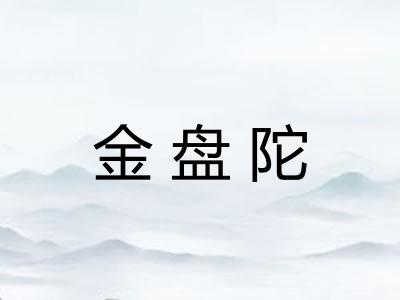 金盘陀
