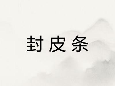 封皮条