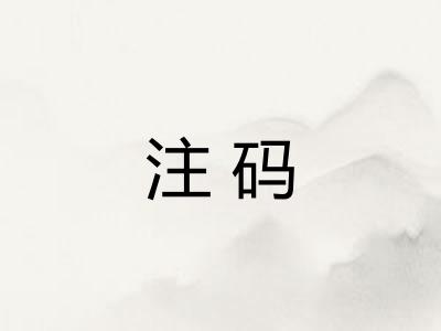 注码
