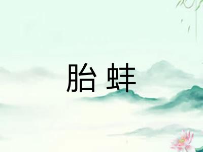 胎蚌