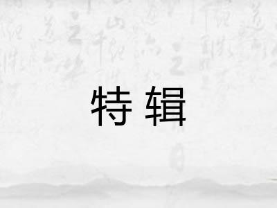 特辑
