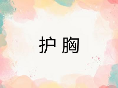 护胸