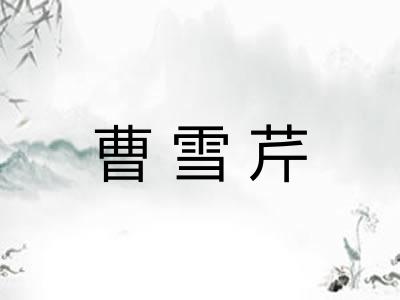 曹雪芹