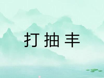 打抽丰
