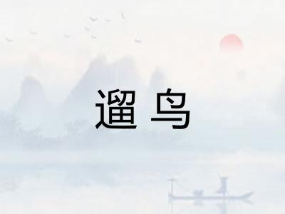 遛鸟