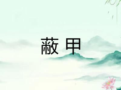 蔽甲