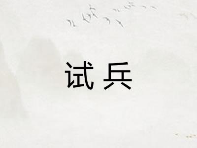 试兵