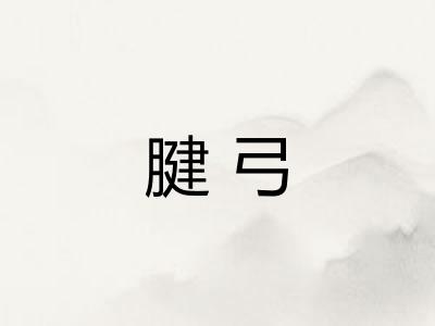 腱弓