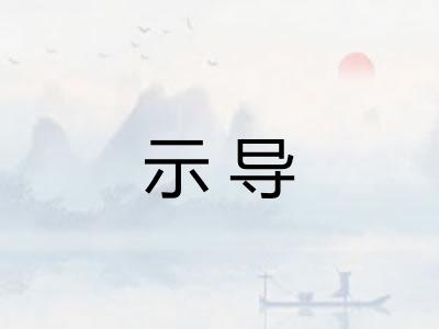 示导