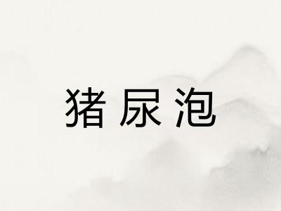 猪尿泡