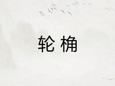 轮桷