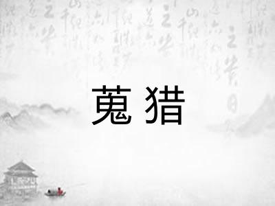 蒐猎