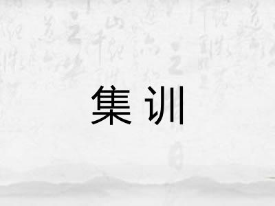 集训