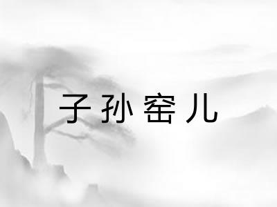 子孙窑儿