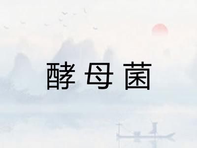 酵母菌