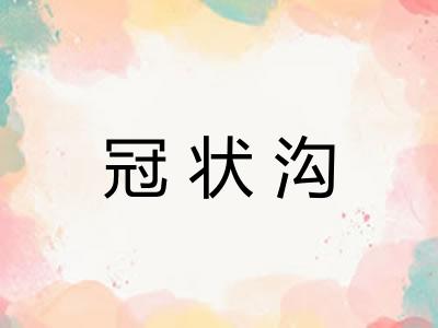冠状沟