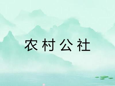 农村公社