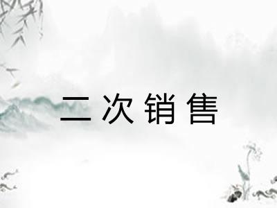 二次销售