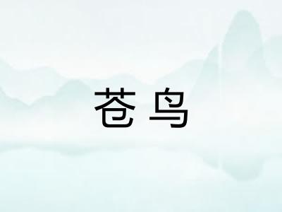 苍鸟