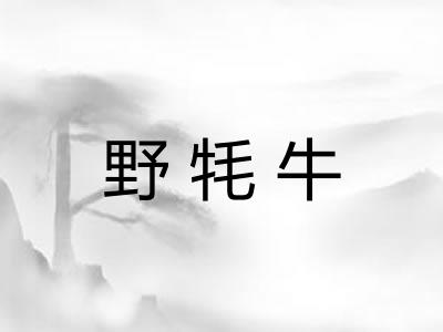 野牦牛