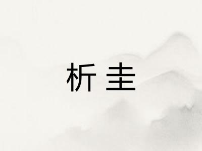 析圭