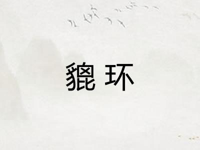 貔环
