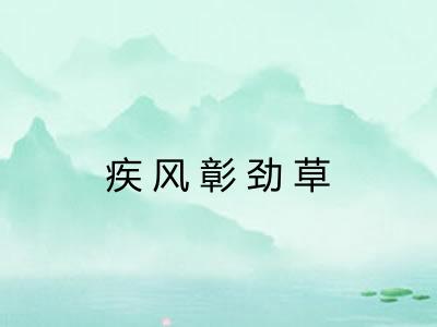 疾风彰劲草