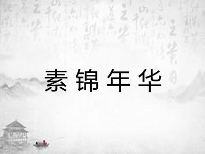 素锦年华