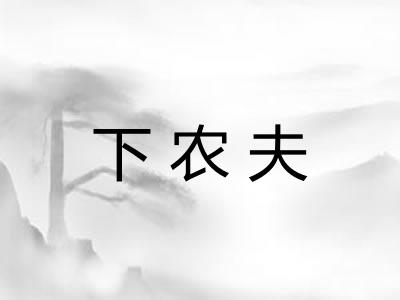 下农夫