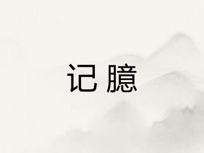 记臆