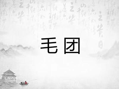 毛团