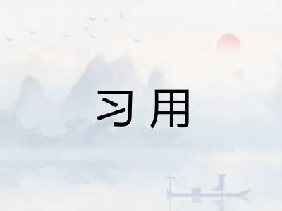 习用