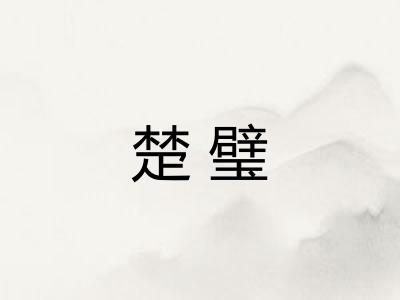 楚璧