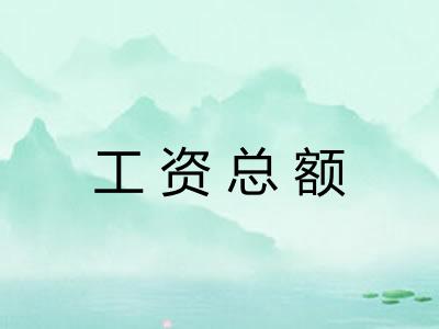 工资总额