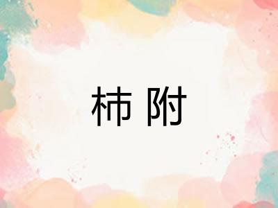 杮附