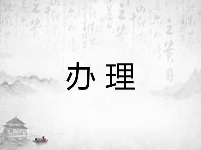 办理
